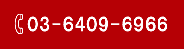 03-6409-6966